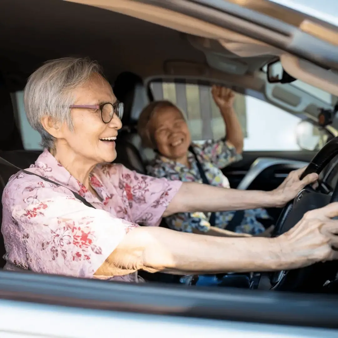 Car history check free