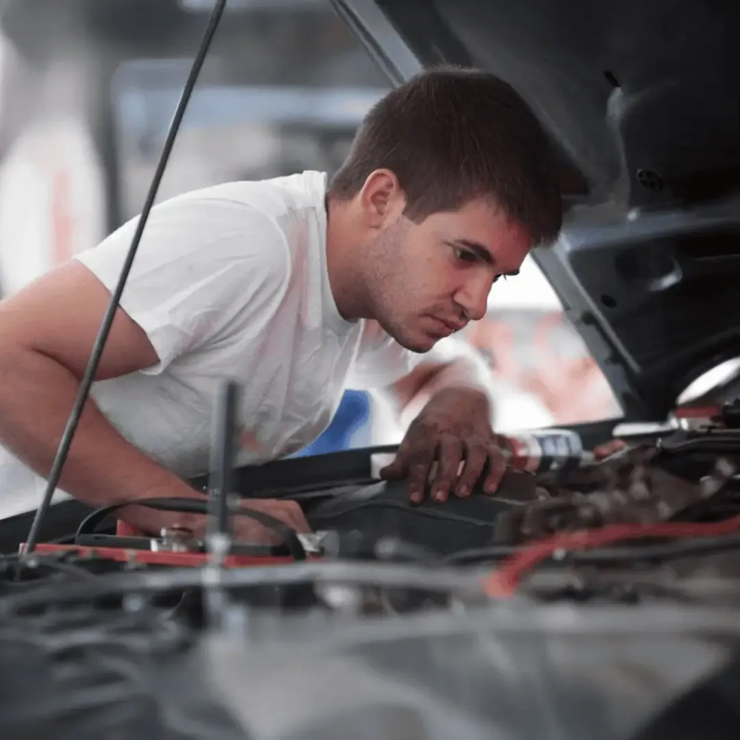 Car service history check